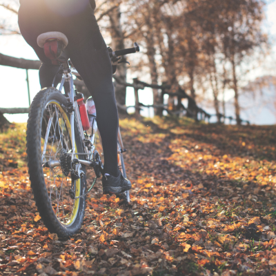 Fiets